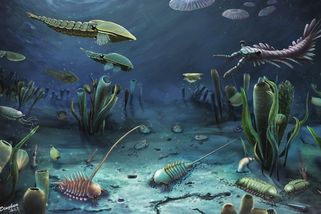 Žádný bůh, ale evoluce. Rozluštění jedné z největších záhad života je na spadnutí - Médium.cz